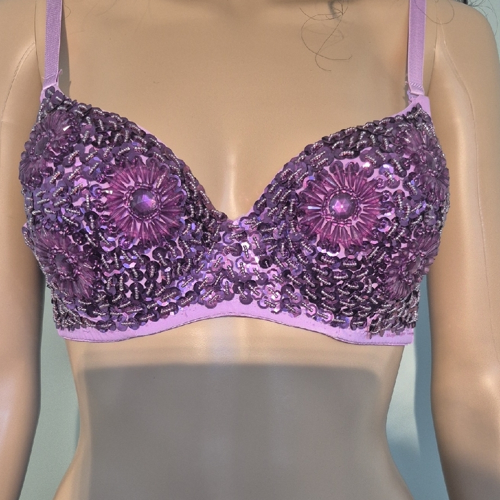 Purple Sequins and Beaded Bra Top